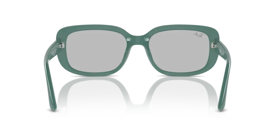 Ray-Ban 0RB4421D 676287