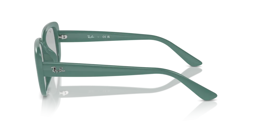 Ray-Ban 0RB4421D 676287