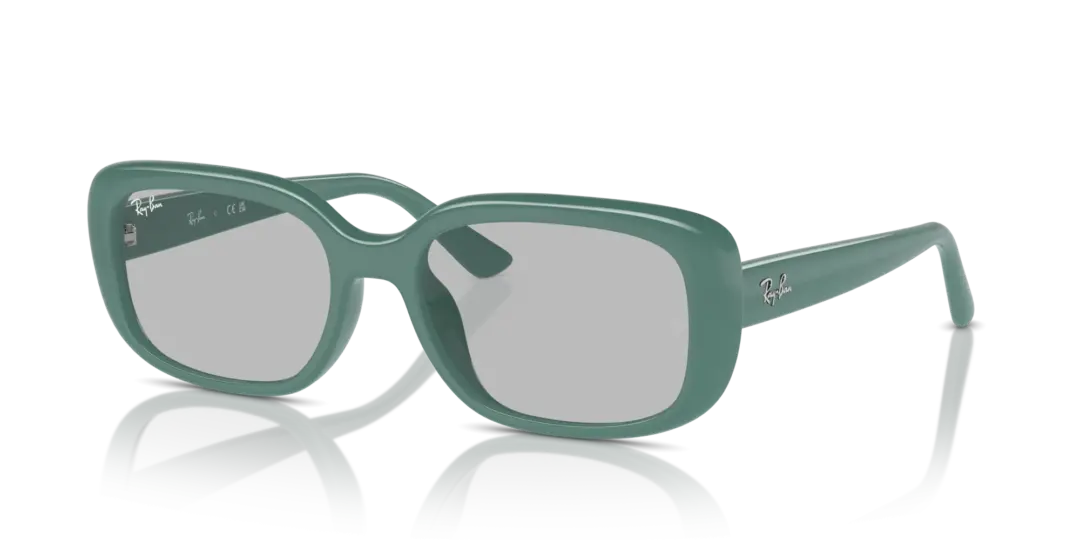 Ray-Ban 0RB4421D 676287