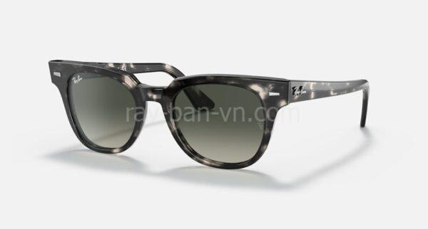 Ray-Ban METEOR FLECK RB2168 133371 50-20