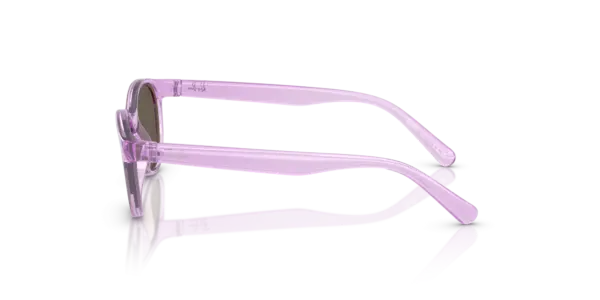 Ray-Ban 0RJ9080SF 7172/3