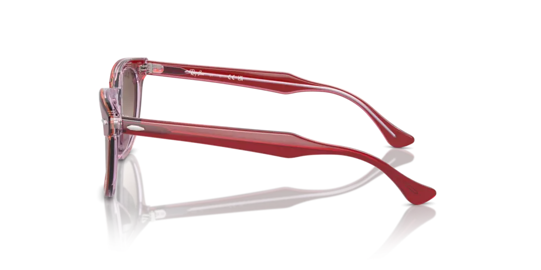 Ray-Ban 0RJ9098SF 715413