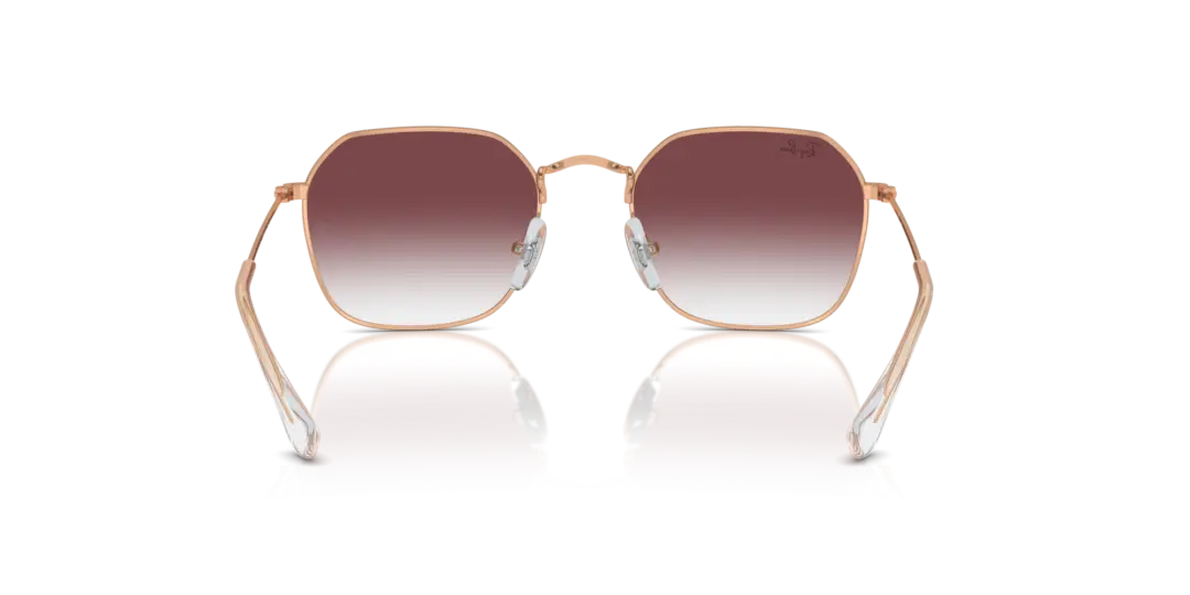 Ray-Ban 0RJ9594S 291/8H