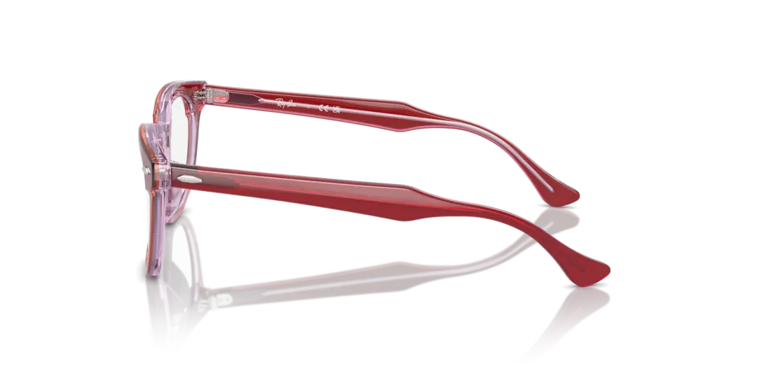 Ray-Ban Junior Optical 0RY9098V 3960