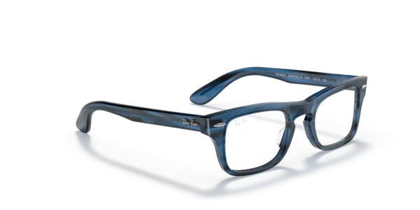 Ray-Ban Junior Optical Junior burbank 0RY9083V 3848