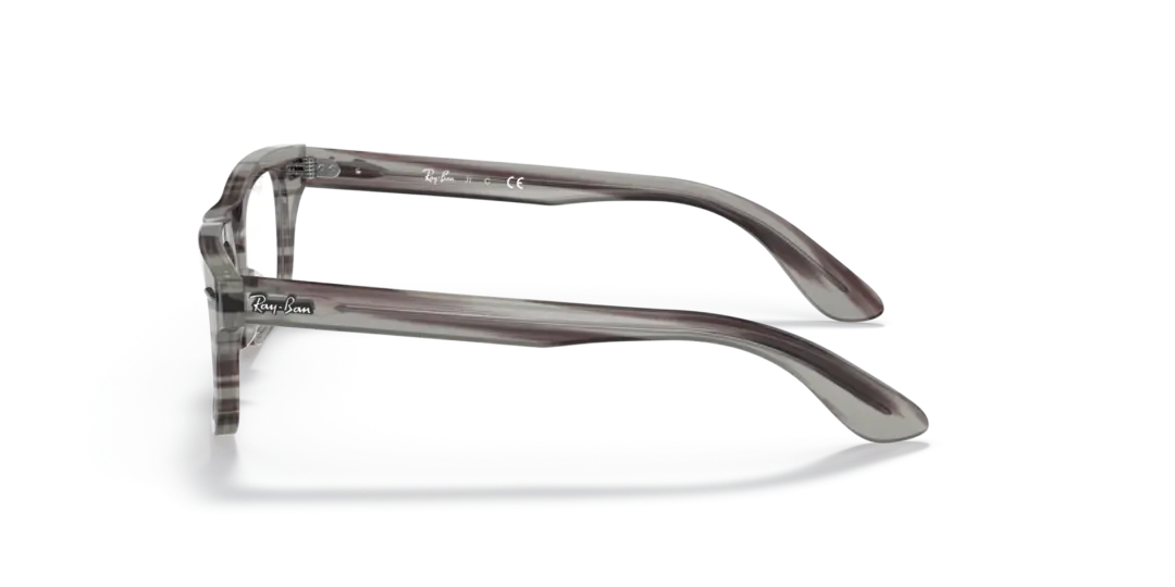 Ray-Ban Junior Optical Junior burbank 0RY9083V 3850