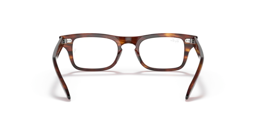 Ray-Ban Junior Optical Junior burbank 0RY9083V 3888