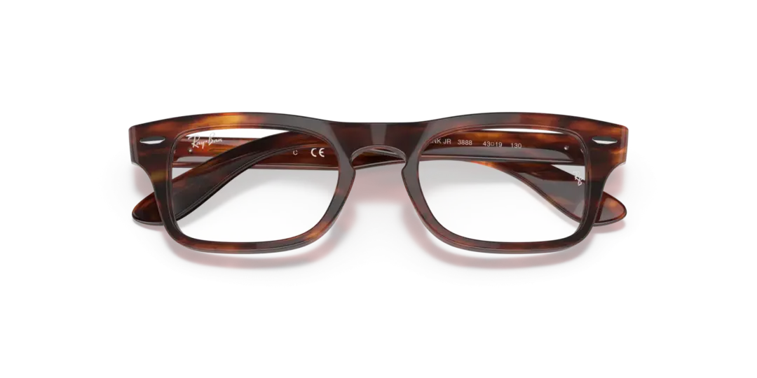 Ray-Ban Junior Optical Junior burbank 0RY9083V 3888