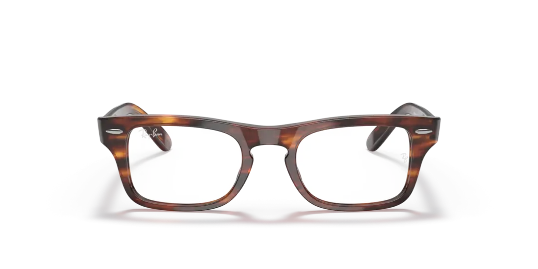 Ray-Ban Junior Optical Junior burbank 0RY9083V 3888