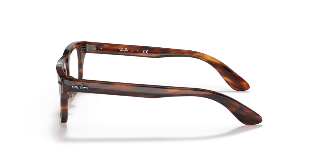 Ray-Ban Junior Optical Junior burbank 0RY9083V 3888