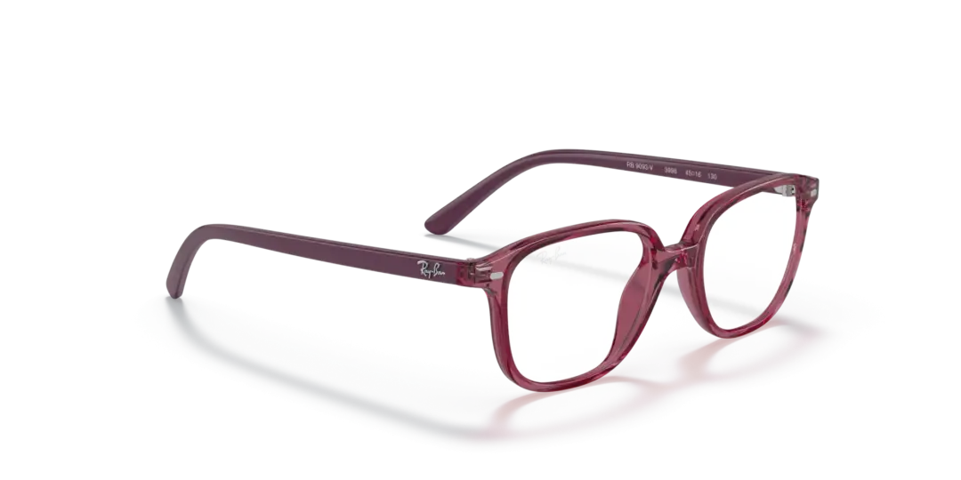 Ray-Ban Junior Optical Junior leonard 0RY9093V 3898