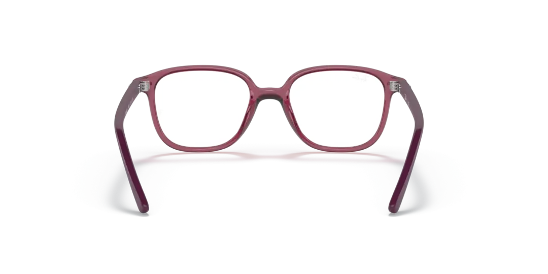 Ray-Ban Junior Optical Junior leonard 0RY9093V 3898