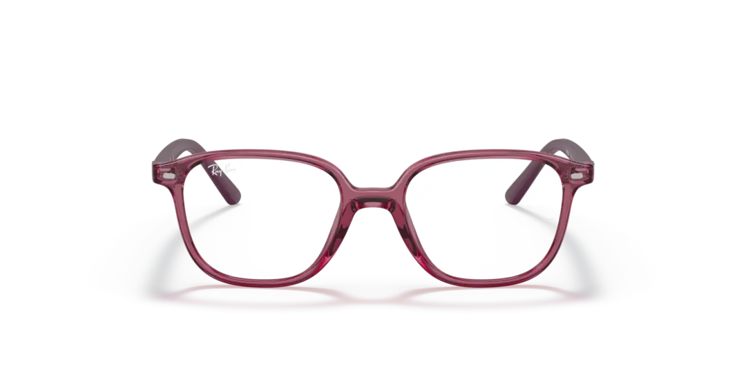 Ray-Ban Junior Optical Junior leonard 0RY9093V 3898