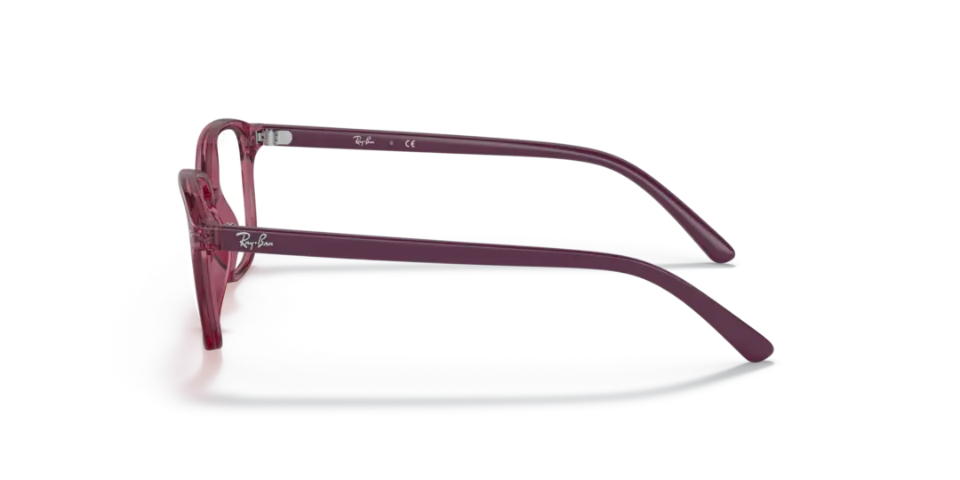 Ray-Ban Junior Optical Junior leonard 0RY9093V 3898