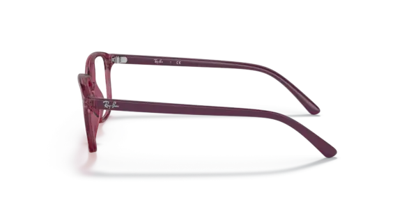 Ray-Ban Junior Optical Junior leonard 0RY9093V 3898