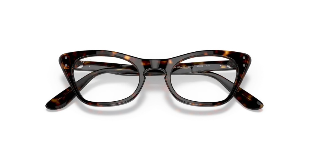 Ray-Ban Junior Optical Miss burbank 0RY9099V 3887