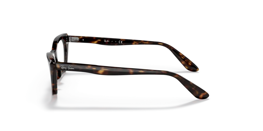 Ray-Ban Junior Optical Miss burbank 0RY9099V 3887