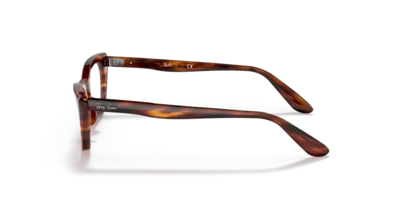 Ray-Ban Junior Optical Miss burbank 0RY9099V 3888