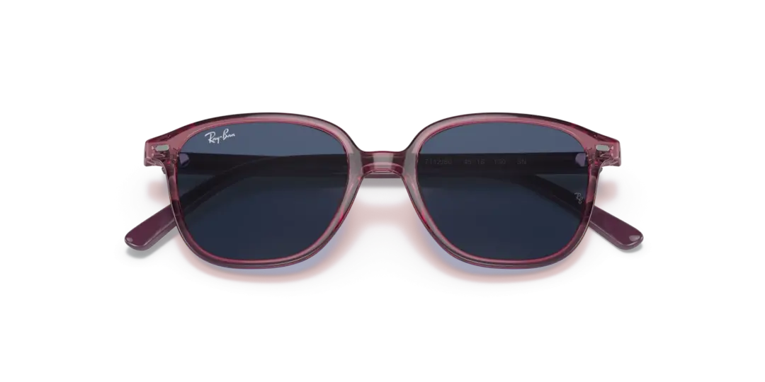 Ray-Ban Junior leonard 0RJ9093S 711280