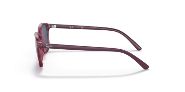 Ray-Ban Junior leonard 0RJ9093S 711280