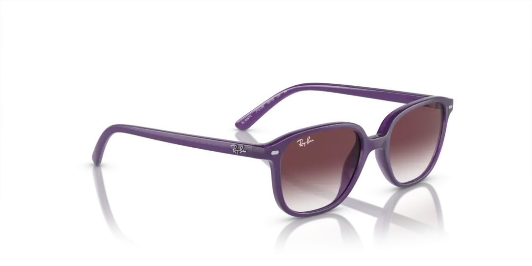 Ray-Ban Junior leonard 0RJ9093S 713136