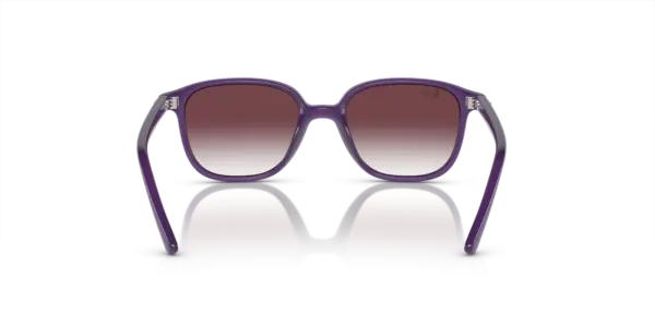 Ray-Ban Junior leonard 0RJ9093S 713136