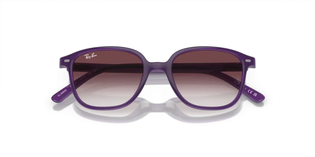 Ray-Ban Junior leonard 0RJ9093S 713136