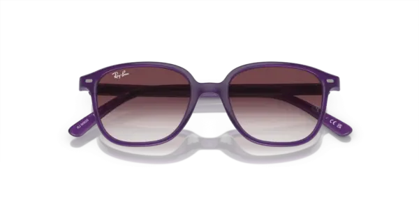 Ray-Ban Junior leonard 0RJ9093S 713136