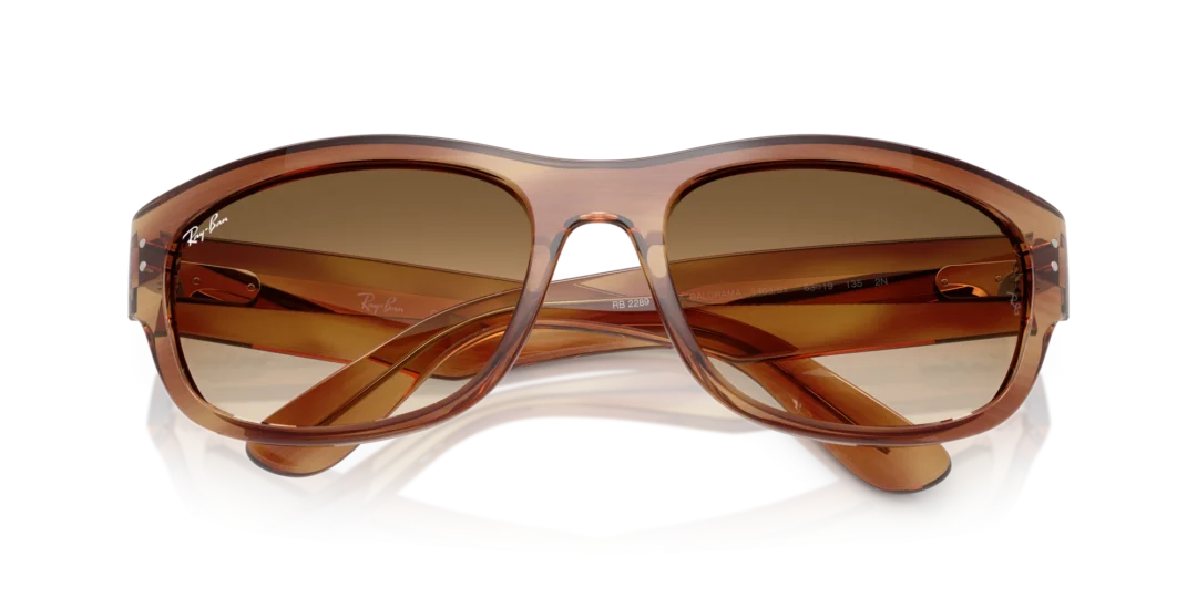 Ray-Ban Mega balorama 0RB2289 140351