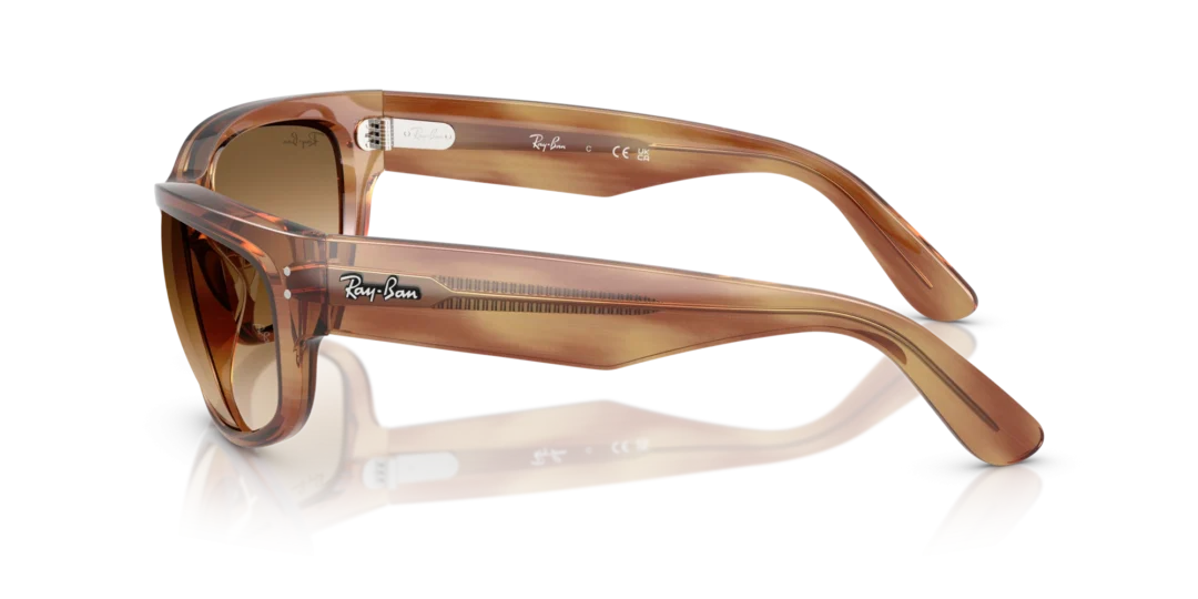 Ray-Ban Mega balorama 0RB2289 140351