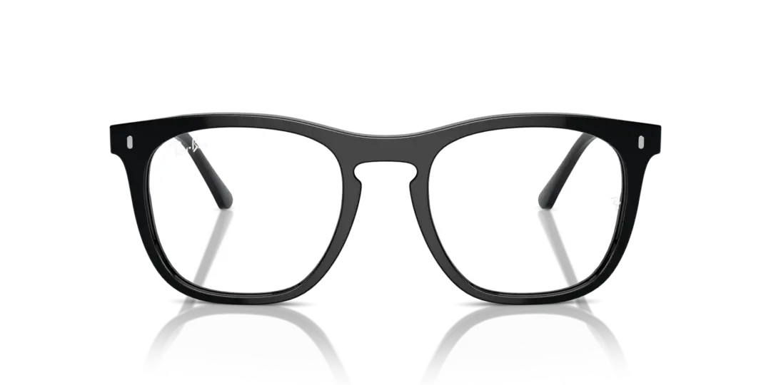 Ray-Ban Optical 0RX2210VF 2000