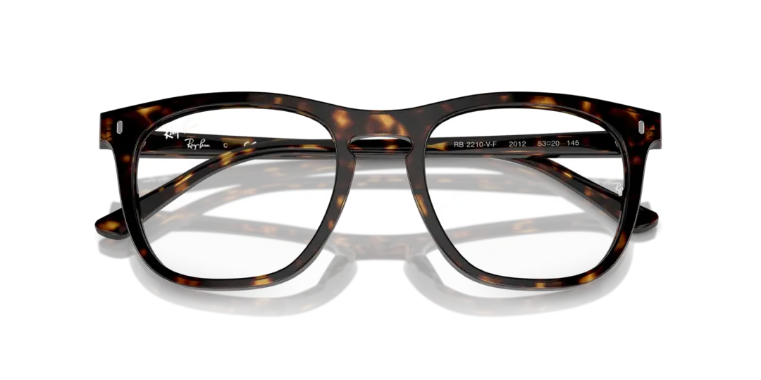 Ray-Ban Optical 0RX2210VF 2012