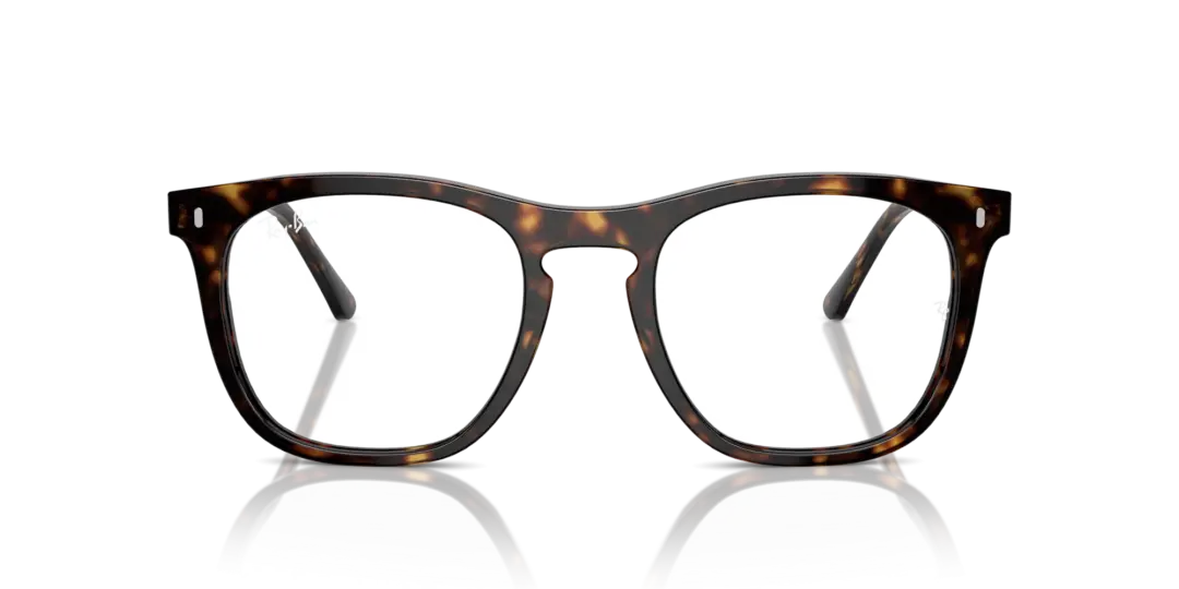 Ray-Ban Optical 0RX2210VF 2012