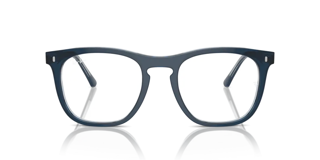 Ray-Ban Optical 0RX2210VF 8324