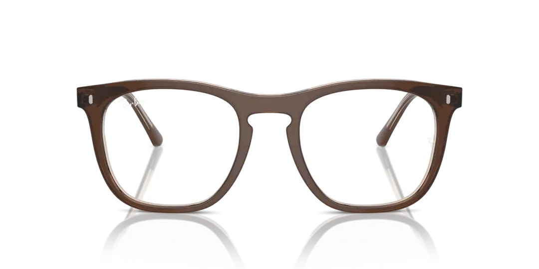 Ray-Ban Optical 0RX2210VF 8365