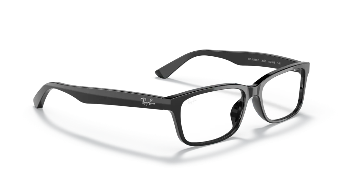 Ray-Ban Optical 0RX5296D 2000