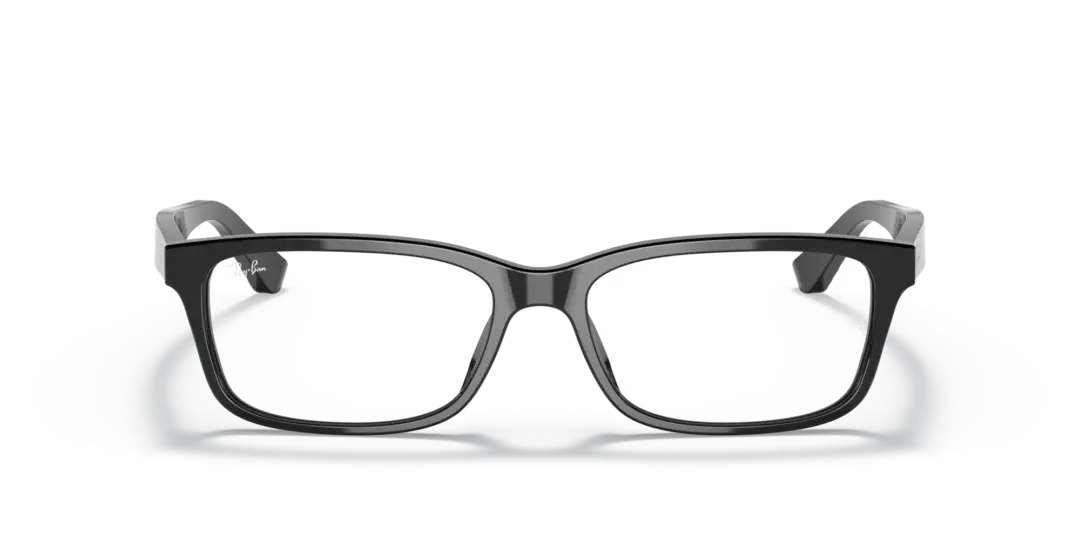 Ray-Ban Optical 0RX5296D 2000