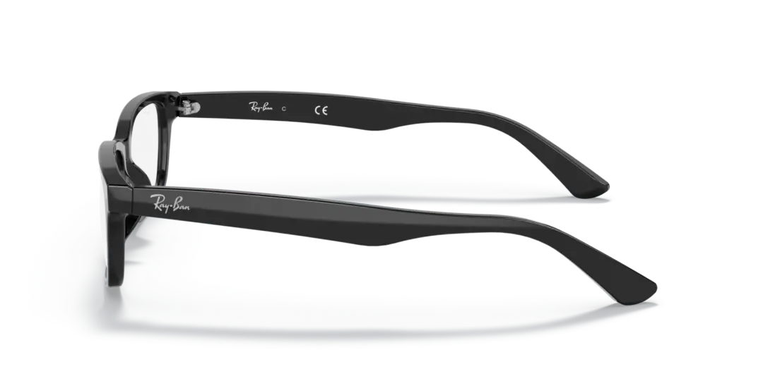 Ray-Ban Optical 0RX5296D 2000