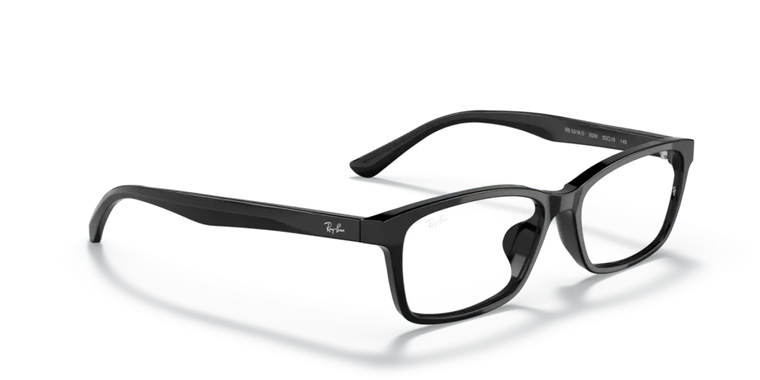 Ray-Ban Optical 0RX5318D 2000