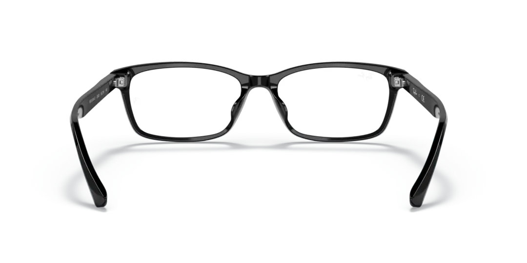 Ray-Ban Optical 0RX5318D 2000