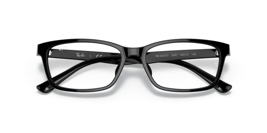 Ray-Ban Optical 0RX5318D 2000