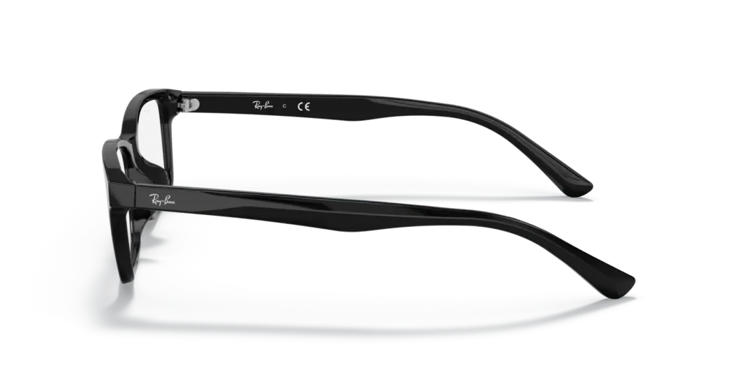 Ray-Ban Optical 0RX5318D 2000