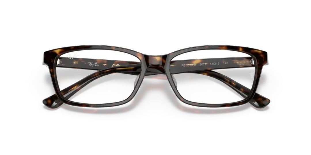 Ray-Ban Optical 0RX5318D 2012