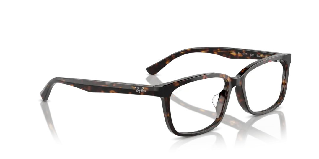Ray-Ban Optical 0RX5319D 2012