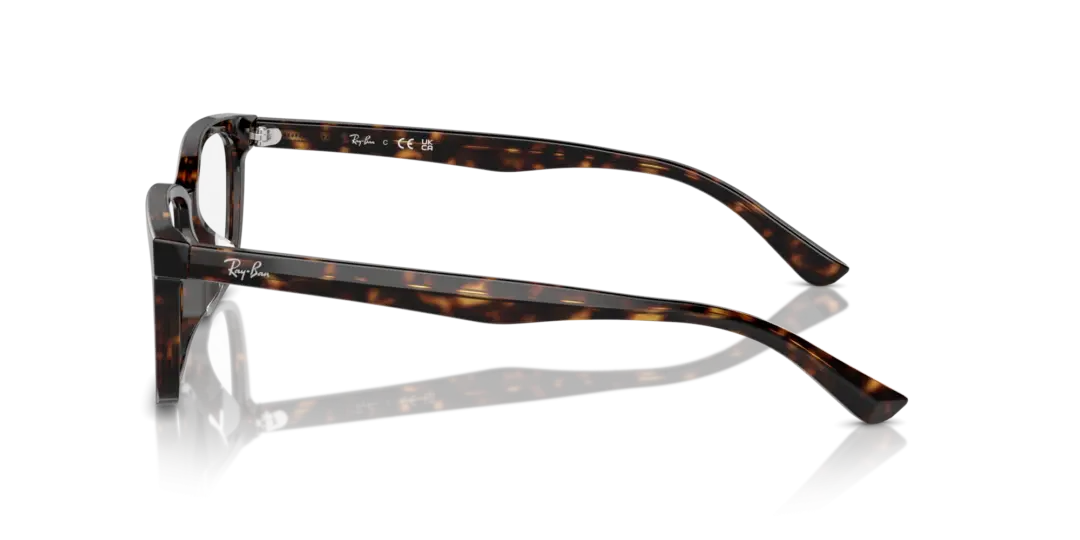 Ray-Ban Optical 0RX5319D 2012