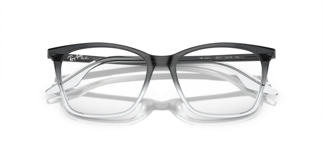 Ray-Ban Optical 0RX5422F 8310