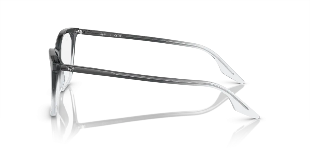 Ray-Ban Optical 0RX5422F 8310