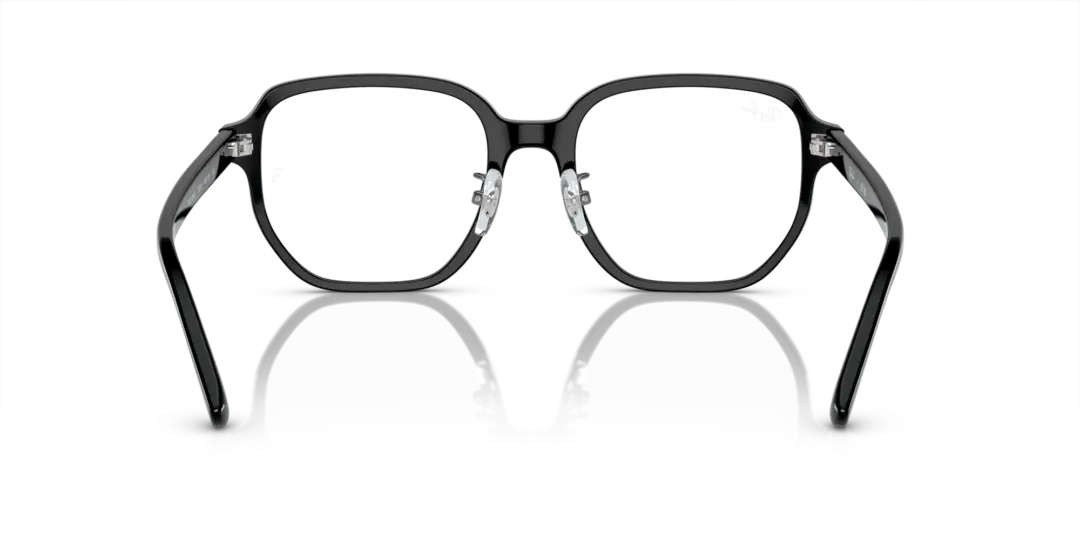 Ray-Ban Optical 0RX5424D 2000