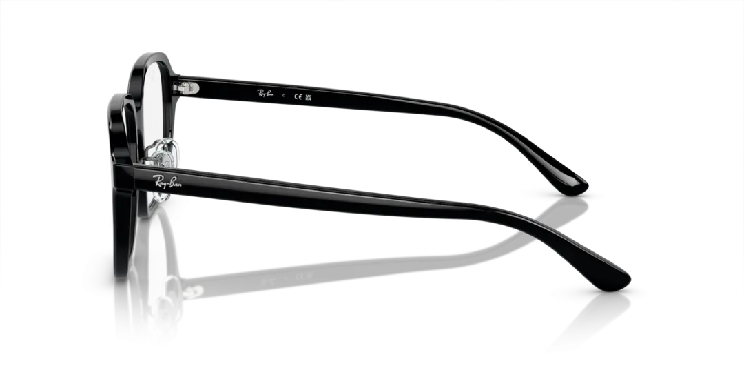 Ray-Ban Optical 0RX5424D 2000