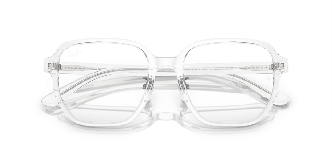 Ray-Ban Optical 0RX5424D 2001